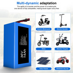 36V 14Ah Lithium ion Battery Pack for 350W 500W 750W 1000W Electric Motor 10s5p