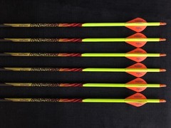 Black Eagle Renegade 300 .005 17/64″ Fletched/Crested Arrows 1/2 Dozen BRAND NEW
