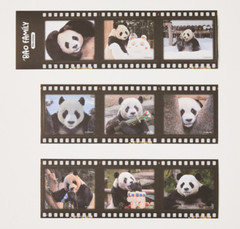 Korea Everland Baby PANDA BEAR Fubao Family Film Sticker 3 Set-9 Sheet