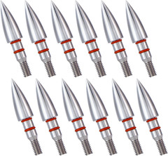 12Pcs Archery Field Points, 5/16-100Gra Field Points, Screw-In Archery Field Br