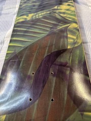 Element Skateboard Deck Gabriel Fortunato Jungle Rare Made In Spain 8” x 31.75”