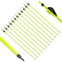 31″ Pure/Mixed Carbon Arrows 2″ Vane Spine 350-500 Compound Recurve Bow Hunting