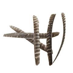 50Pcs Archery Arrow Natural Feathers L/H Wings Fletching Training Shooting DIY