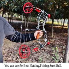 Compound Bow Set Steel Ball Arrows Dual-use 30-60lbs Archery Hunting Fishing