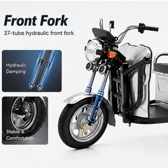 Electric Tricycle Cargo Truck 600W Free Shipping Electric Cargo Trike Orchard