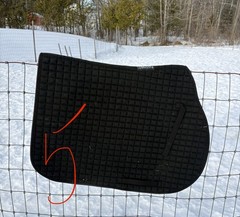 Buyer’s Choice- Used English Saddle Pads