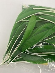 50 PACK TrueFlight 5″ Inch Archery Feathers Right Wing Parabolic Cut Green NEW