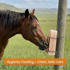 Yield Titan Himalayan Animal Lick Salt Brick Holder for Animal – Easy to Install