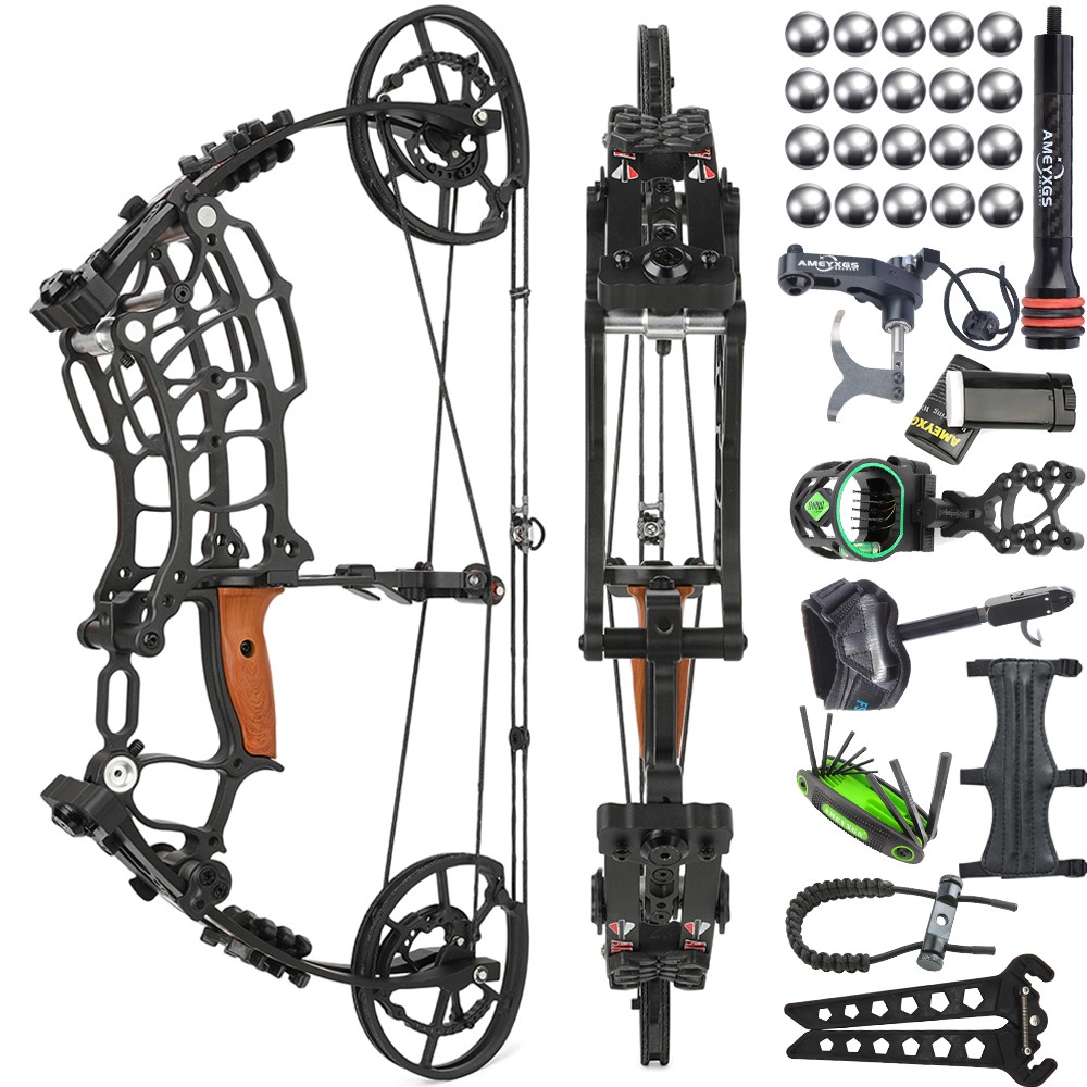 30-60lbs Compound Bow Kit Steel Ball Arrows Dual-use Archery Hunting Fish RH LH