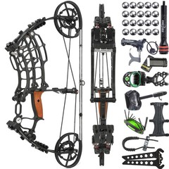 30-60lbs Compound Bow Kit Steel Ball Arrows Dual-use Archery Hunting Fish RH LH