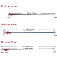 Carbon Arrow 28/30/31 Inches Length Spine 500 with Replaceable Arrowhead
