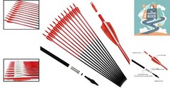 30-inch Fluorescence Carbon Arrows Pack of 12 for Hunting & Practice