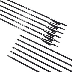Archery Hunting Carbon Arrows for Recurve Compound Bow Target Practice Outdoor