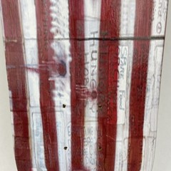 Dystopian American Flag Punk Rock Hunger & Peace Art Mini Skateboard Deck 7″