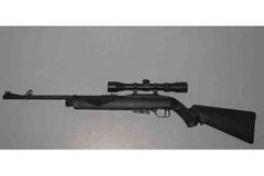 Crosman Lightweight, fun and accurate! .177