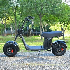 ehoodax 18 Inch Fat Tire Moped 3000W Motor Max Speed 28MI Removable Battery
