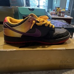 Nike SB Low-Top Appetite for destruction Shoes US 8.5 D Medium Width