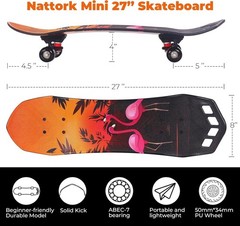 27″x 8″ Complete Skateboard for Beginners Youth Teens Kids Boys or Girls with…