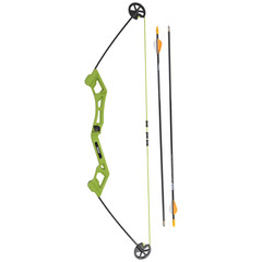 Bear Archery Valiant Youth Bow Set with Arrows & Target
