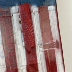 Dystopian American Flag Punk Rock Hunger & Peace Art Mini Skateboard Deck 7″