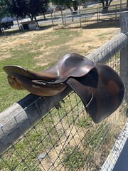 16.5” Antill Saddlery Spring Seat English Jumping Saddle Leather Walsall England