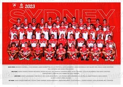 Framed 2023 SYDNEY SWANS AFL Poster – 62cm x 44.5cm x 3cm