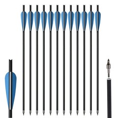 20In Crossbow Bolts +/or Quiver Archery Carbon Arrows Hunting Shooting Target