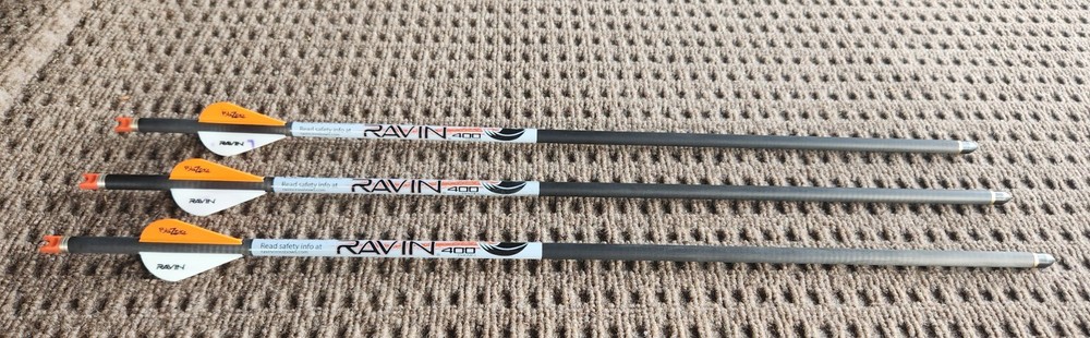 RAVIN R139 .001 20 INCH 3 ARROWS 400 GRAIN NEW WITH TARGET POINTS
