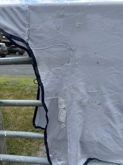 75” Bucas Buzz Off Full Neck Horse Fly Sheet w/Belly Protection – Used