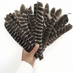 Archery Turkey Feathers 7-9in Cut Barred Fletches Making Traditional Flu Arrows