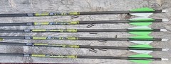 KINEDIC PROS 1 DZ VANES COLOR VARIES ARROWS GOLD TIP