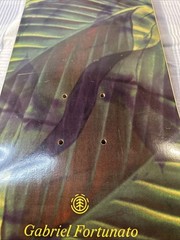 Element Skateboard Deck Gabriel Fortunato Jungle Rare Made In Spain 8” x 31.75”