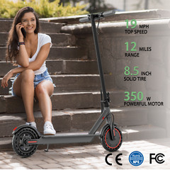 Ladped LP60 Adult Electric Scooter Foldable 25KM/H 12Miles E-Scooter 350W w/APP