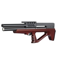 PINTY NEW PCP Pellet Gun 800 FPS Air Rifle .22 Caliber 9 Pellet Air Rifle