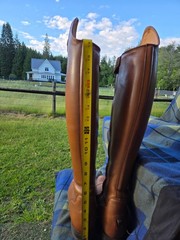 Celeris tall dressage boots in beautiful brown, 38 slim. Beautiful…barely worn