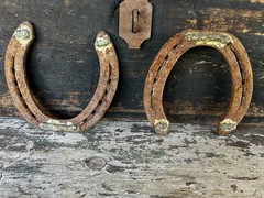 Hand-Forged Pair of 2 Studded Cast Iron Lucky Draft Horseshoes-Farmhouse Decor