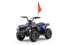 Kids Blue Electric ATV 4-Wheeler Quad 36V 500W Off-Road Mini Ride-On Vehicle