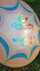Gateway G1i Apache «H» H Series Understable Driver Domey Glider