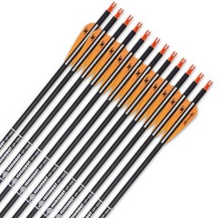 31inch Carbon Arrow Archery Targeting Practice Hunting Arrows for Compound & …