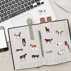 Horse Stickers for Kids Teens Adults, 60Pcs Cartoon Horse Riding Stickers for Wa