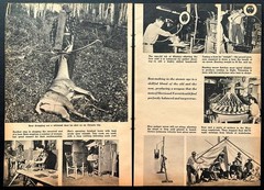 Fred Bear bows 1955 factory pictorial “He Arms a Million Robin Hoods” Archery