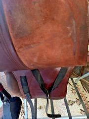 Parelli Hybrid Cruiser Horse Saddle, SUPER WIDE ENDURANCE, TRAIL, COMFORT 16.5