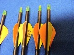 Carbon Max Hunter Arrow Shafts with Fletching and Nocks Redhead Mixed Lot of 12