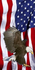 Bald Eagle American Flag Cornhole Wrap