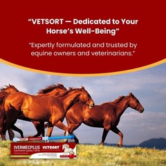 VETSORT Horse Paste Dewormer Apple Flavor Wormer 1.87% EXP 10/2027 (3 pack)