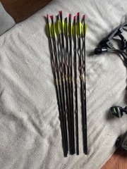 Hoyt VTM 31 RH 70# WILDERNESS 28DL