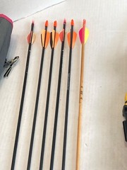 Barnett Duck Commander Compound Bow with Quiver and Arrows