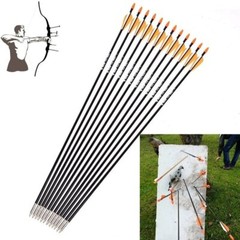 12Pcs 31 Inch Archery Fiberglass Target Practice Arrows for Recurve Compound Bow