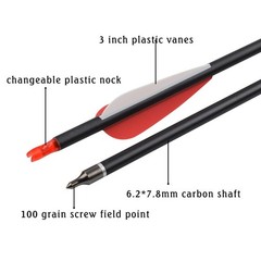 30 inch Carbon Arrow Hunting Arrows with 100 Grain Removable Tips for Archery…