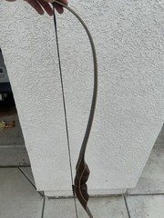 Bearpaw Penthalon 60” Recurve Bow 30 lbs @ 28” RH Nice Pre Owned Shape